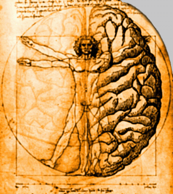 PsicoNeuroEndocrinoImmunologia